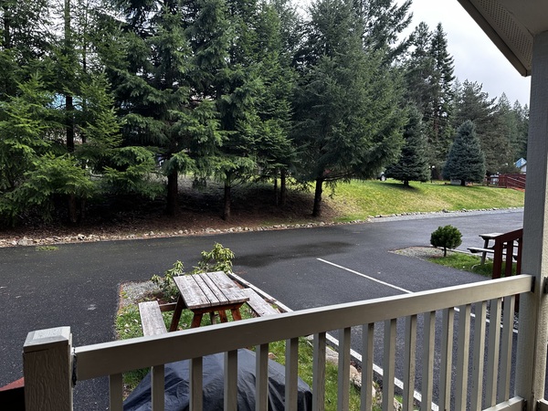 Family Cabin with Jetted Tub Photo 8